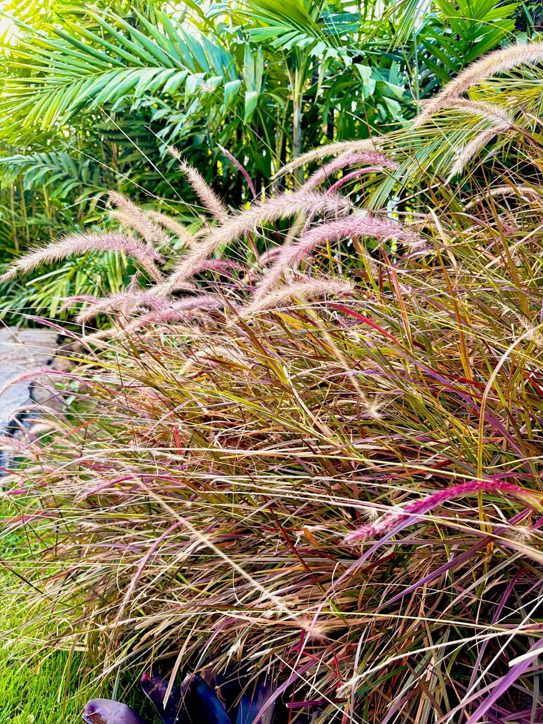 Close-up of pink ornamental grass and tropical leaves, shot with Nōma's Vivid recipe